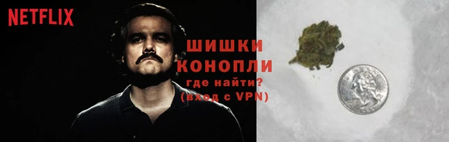 PSILOCYBIN Заводоуковск