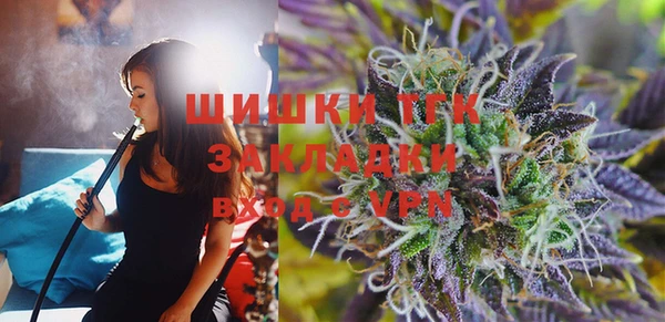 PSILOCYBIN Заводоуковск