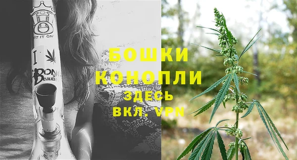 PSILOCYBIN Заводоуковск