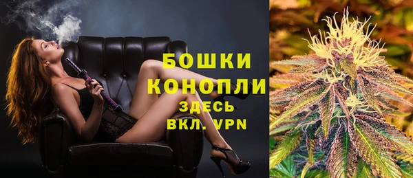 PSILOCYBIN Заводоуковск