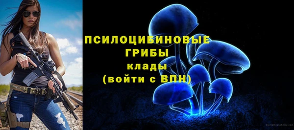 мдма Заволжск